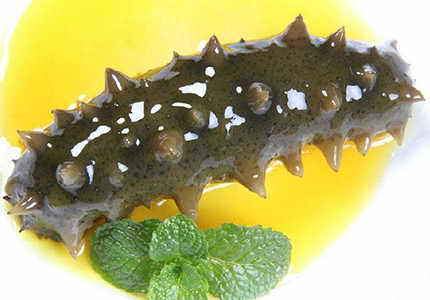 赴韩国海参养殖普工