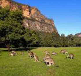 澳大利亚风俗文化