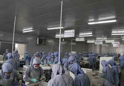 赴日本水产加工