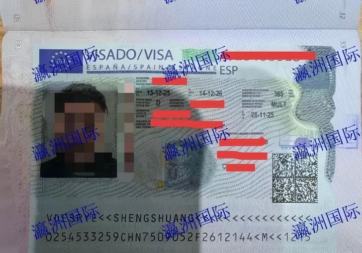 叶女士西班牙剔骨项目