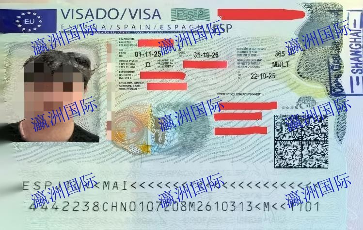 金先生西班牙剔骨项目