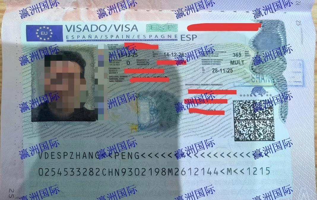 张先生西班牙剔骨项目